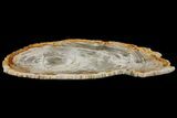 Tropical Hardwood Petrified Wood Dish - Indonesia #131452-2